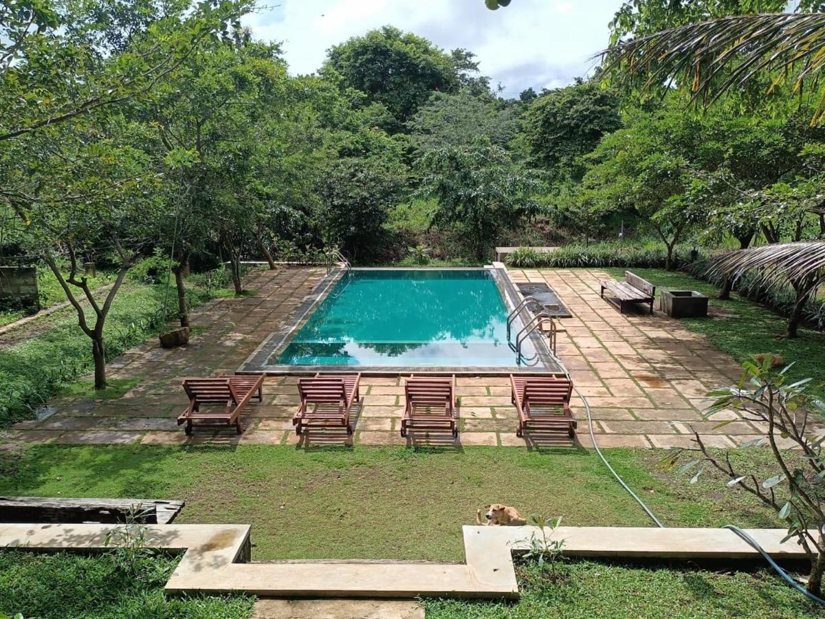 Spice Village Hotel & Restaurant Habarana Εξωτερικό φωτογραφία